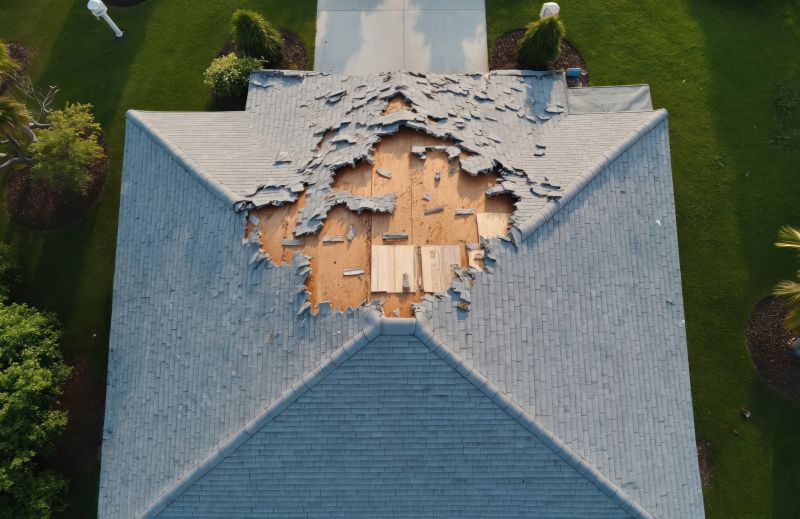 Roof Damage Inspection detail
