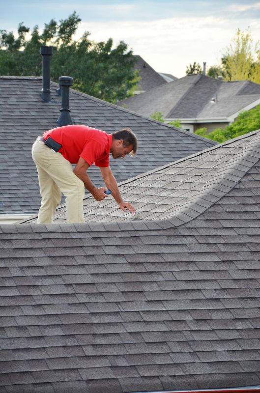 Roofing Inspection Service detail